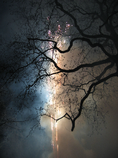 fireworks Año Nuevo Chino ‘08